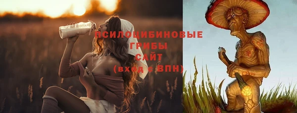 винт Абаза