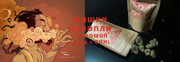 винт Алексин