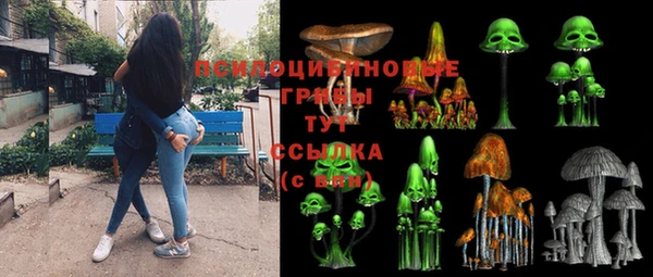 соль ск Алзамай