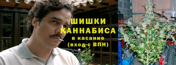 винт Абаза