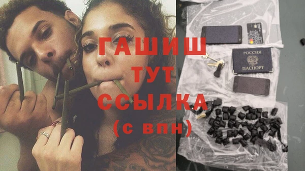 винт Абаза